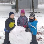 phoca_thumb_m_veverky na snhu 2 Fotogalerie